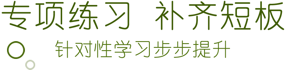 专项练习 补齐短板，针对性学习步步提升